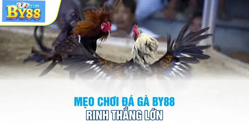 Mẹo chơi đá gà online hay nhất tại by88